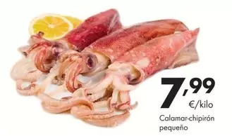 Oferta de Calamar-chipiron Pequeño por 7,99€ en Supermercados Lupa