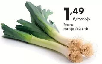 Oferta de Puerros Manojo por 1,49€ en Supermercados Lupa