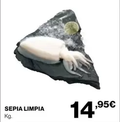 Oferta de Sepia Limpia por 14,95€ en Supercor