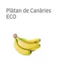 Oferta de Plàtan De Canàries Eco en Veritas