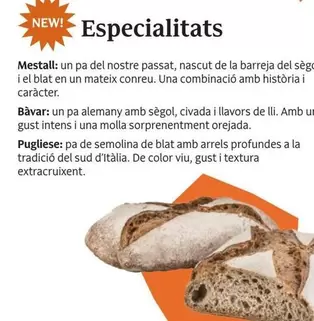 Oferta de Especialitats en Veritas