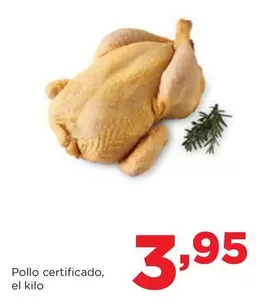 Oferta de Pollo Certificado por 3,95€ en Alimerka