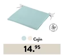 Oferta de Cojin por 14,95€ en Casa