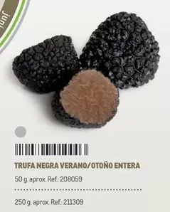 Oferta de Trufa Negra Verano/otono Entera en Makro