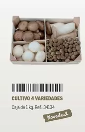 Oferta de Cultivo 4 Variedades en Makro