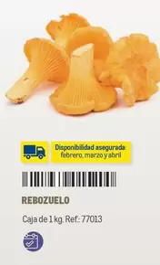 Oferta de Abril - Rebozuelo en Makro