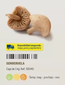 Oferta de Senderuela en Makro