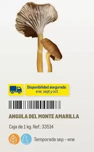 Oferta de Del Monte - Angula  Amarilla en Makro