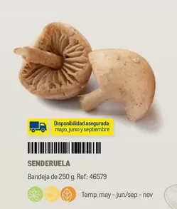 Oferta de Senderuela en Makro