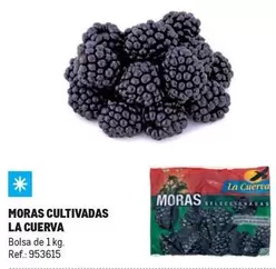 Oferta de La Cuerva -  Moras Cultivadas en Makro