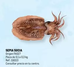 Oferta de Origen - Sepia Sucia en Makro