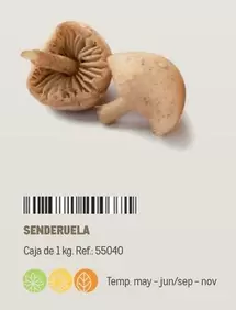 Oferta de Senderuela en Makro