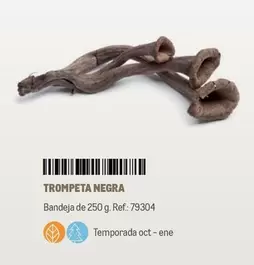 Oferta de Trompeta Negra en Makro