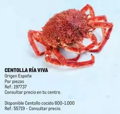 Oferta de Origen - Centolla en Makro