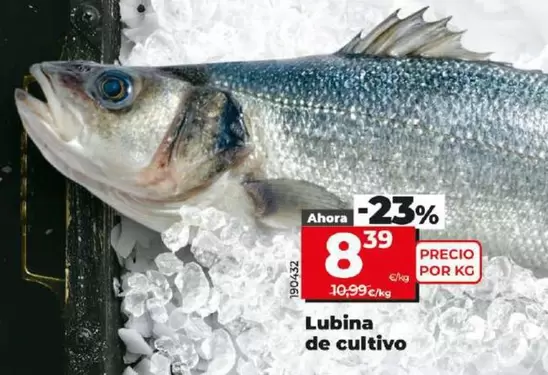 Oferta de Lubina De Cultivo por 8,39€ en Dia