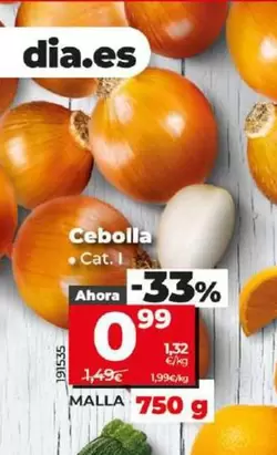 Oferta de Cebolla por 0,99€ en Dia