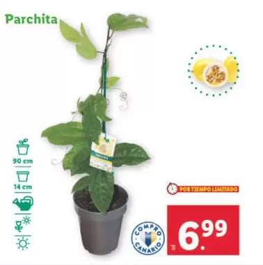 Oferta de Parchita por 6,99€ en Lidl