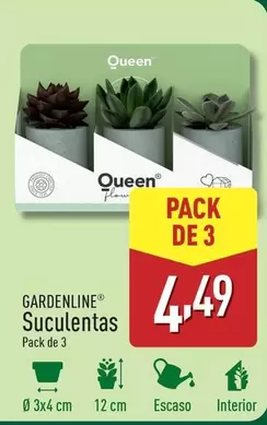 Oferta de Gardenline - Suculentas por 4,49€ en ALDI