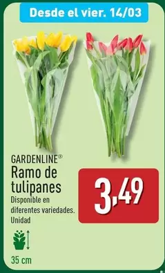 Oferta de Gardenline - Ramo De Tulipanes por 3,49€ en ALDI