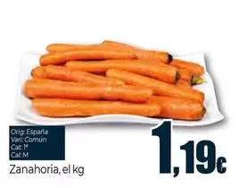Oferta de Zanahoria por 1,19€ en Unide Supermercados