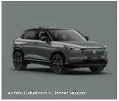 Oferta de Verde Grisaceo / Bitono Negro en Honda