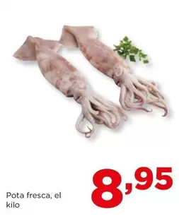 Oferta de Pota Fresca por 8,95€ en Alimerka