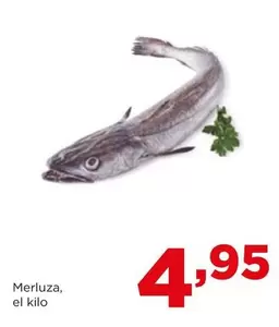 Oferta de Merluza por 4,95€ en Alimerka