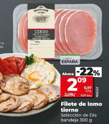 Oferta de Seleccion De Dia - Filete De Lomo Tierno por 2,09€ en Dia