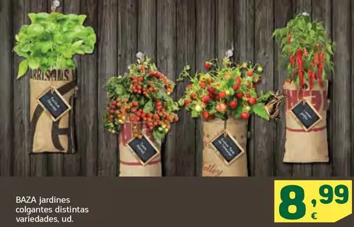 Oferta de  Baza Jardines Colgantes Distintas  por 8,99€ en HiperDino