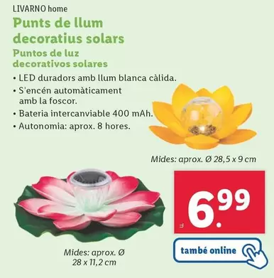 Oferta de Livarno Home - Puntos De Luz Decorativos Solares por 6,99€ en Lidl