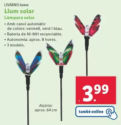 Oferta de Livarno Home - Lámpara Solar por 3,99€ en Lidl