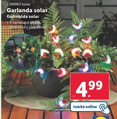 Oferta de Livarno Home - Guirnalda Solar  por 4,99€ en Lidl