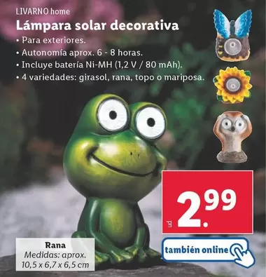 Oferta de Livarno Home - Lampara Solar Decorativa por 2,99€ en Lidl