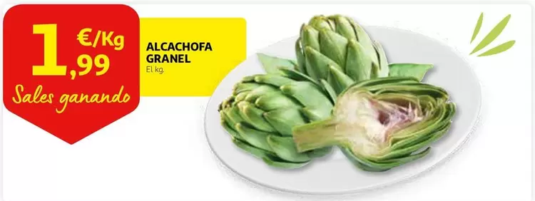 Oferta de Alcachofa Granel por 1,99€ en Alcampo