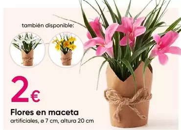 Oferta de Flores -  En Maceta por 2€ en Pepco