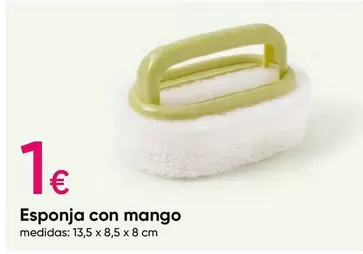 Oferta de Esponja Con Mango por 1€ en Pepco