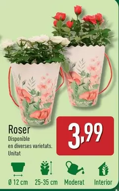 Oferta de Roser por 3,99€ en ALDI