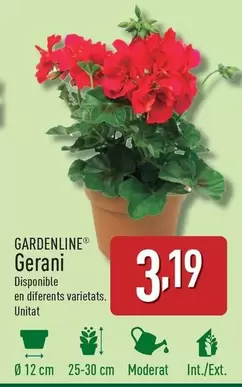 Oferta de Gardenline - Gerani por 3,19€ en ALDI