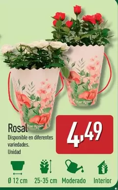 Oferta de Rosal por 4,49€ en ALDI