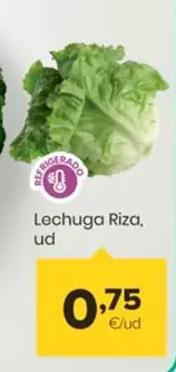 Oferta de Lechuga Riza por 0,75€ en Autoservicios Familia