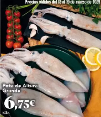 Oferta de Pota Do Altura Grande por 6,75€ en Gadis