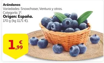 Oferta de  Arándanos por 1,99€ en Alcampo
