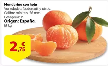 Oferta de Mandarina Con Hoja por 2,75€ en Alcampo