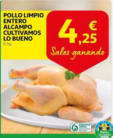 Oferta de Alcampo - Pollo Limpio Entero Cultivamos por 4,25€ en Alcampo
