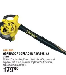 Oferta de Garland - Aspirador Soplador A Gasolina por 179€ en Ferrcash