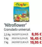 Oferta de Flower - Nitroflower por 8,95€ en BAUHAUS