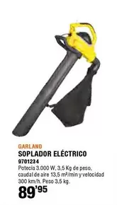 Oferta de Soplador Eléctrico por 89,95€ en Cifec