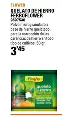 Oferta de Flower - Quelato De Hierro Ferroflower por 3,45€ en Cifec