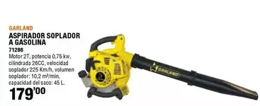 Oferta de Garland - Aspirador Soplador A Gasolina por 179€ en ferrOkey