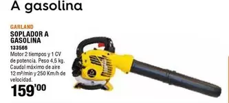 Oferta de Garland - Soplador A Gasolina por 159€ en ferrOkey